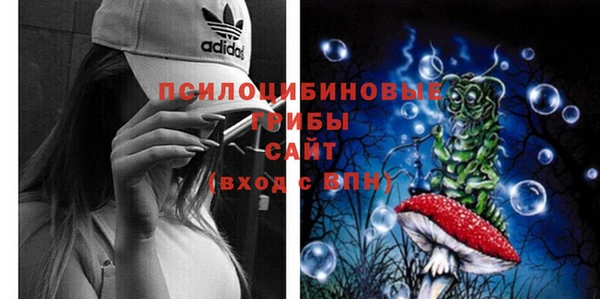 тгк Аркадак