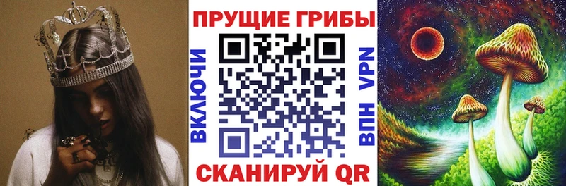 Псилоцибиновые грибы мицелий Багратионовск
